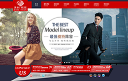 上海網站建設案例：美刻視覺